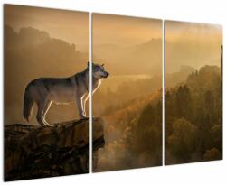 Mivali Tablou - Lup pe stăncă, din trei bucăți 120x80 cm (V022674V120803PCS)