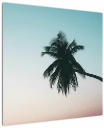 Mivali Tablou - Palmier la Bali, dintr-o bucată 70x70 cm (V021567V7070)
