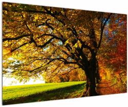 Mivali Tablou cu copac toamna, dintr-o bucată 120x80 cm (V020838V12080)