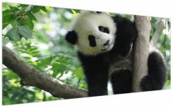 Mivali Tablou - Panda in copac, dintr-o bucată 200x100 cm (V023757V200100)