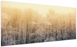 Mivali Tablou cu pădure geroasă, dintr-o bucată 200x100 cm (V022162V200100)