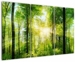 Mivali Tablou - Răsărit în pădure, din trei bucăți 120x80 cm (V022345V120803PCS)
