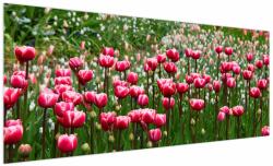 Mivali Tablou - Lalele, dintr-o bucată 250x125 cm (V022557V250125)