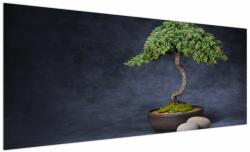 Mivali Tablou - Bonsai, dintr-o bucată 250x125 cm (V022509V250125)