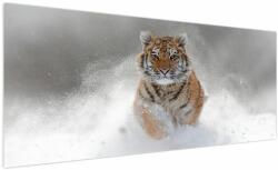 Mivali Tablou cutigru fugind prin zăpadă, dintr-o bucată 250x125 cm (V020719V250125)