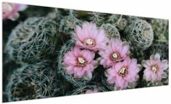 Mivali Tablou floare de cactus, dintr-o bucată 250x125 cm (V021594V250125)