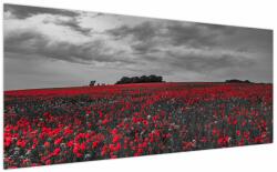 Mivali Tablou cu maci, dintr-o bucată 200x100 cm (V020987V200100)