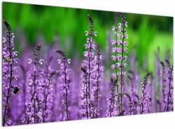 Mivali Tablou cu flori de luncă violete, dintr-o bucată 120x70 cm (V020193V12070)