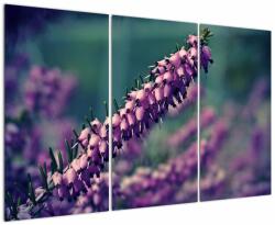 Mivali Tablou cu lavanda, din trei bucăți 120x80 cm (V020539V120803PCS)