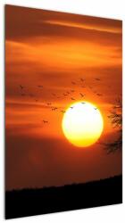 Mivali Tablou - Apus de soare, dintr-o bucată 60x90 cm (V022546V6090)