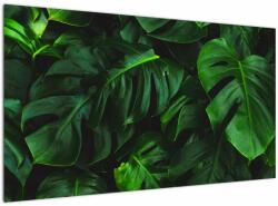 Mivali Tablou cu frunze Monstery, dintr-o bucată 120x70 cm (V021591V12070)