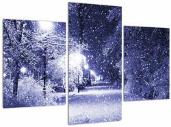 Mivali Tablou - Noaptea magică de iarnă, din trei bucăți 90x60 cm (V023263V90603PCS)