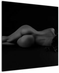 Mivali Tablou - Femeia întinsă nud, dintr-o bucată 70x70 cm (V022896V7070)