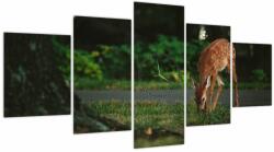 Mivali Tablou cu pui de cerb (cu ceas), din cinci bucăți 150x80 cm cu ceas (V020197V15080C)