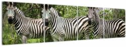 Mivali Tablou cu zebre, din patru bucăți 160x40 cm (V020921V16040)