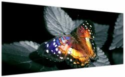 Mivali Tablou cu fluture, dintr-o bucată 200x100 cm (V022220V200100)