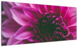 Mivali Tablou cu floarea roz, dintr-o bucată 100x40 cm (V020010V10040)