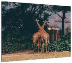 Mivali Tablou cu două girafe, dintr-o bucată 70x50 cm (V021381V7050)