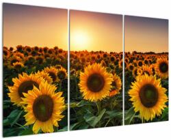 Mivali Tablou - Floarea soarelui, din trei bucăți 120x80 cm (V022507V120803PCS)