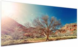 Mivali Tablou cu cu copac în deșert, dintr-o bucată 250x125 cm (V021260V250125)