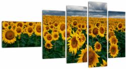 Mivali Tablou câmpului de floarea soarelui, din cinci bucăți 110x60 cm (V020662V11060)