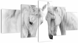 Mivali Tabou - Cai albi, din cinci bucăți 150x80 cm (V023147V150805PCS)