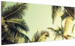 Mivali Tablou - Palmieri de cocos, dintr-o bucată 100x40 cm (V023328V10040)