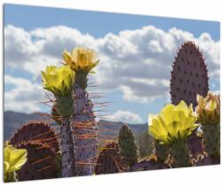 Mivali Tablou cu floarea de cactus Opunție, dintr-o bucată 90x60 cm (V021553V9060)