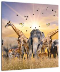 Mivali Tablou - Animae din Africa, dintr-o bucată 40x40 cm (V022143V4040)