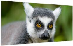 Mivali Tablou pe sticlă cu lemur, dintr-o bucată 100x50 cm pe sticlă (V021130V10050GD)