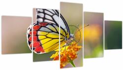 Mivali Tablou - Fluture pe floare (cu ceas), din cinci bucăți 150x80 cm cu ceas (V022330V15080C)