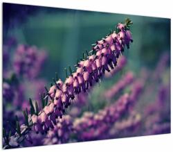 Mivali Tablou cu floare violetă, dintr-o bucată 100x70 cm (V020421V10070)