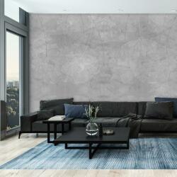 Mivali Fototapet - Ilustație flori pe beton, vlies, 392x272 cm (T100692TQ8)
