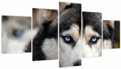 Mivali Tablou cu câinele husky (cu ceas), din cinci bucăți 150x80 cm cu ceas (V020526V15080C)