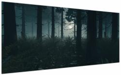 Mivali Tablou - Ferigi în lumina lunii, dintr-o bucată 200x100 cm (V022890V200100)