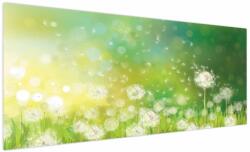 Mivali Tablou - Păpădie înflorită, dintr-o bucată 250x125 cm (V023553V250125)
