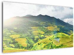 Mivali Tablou plantație, dintr-o bucată 120x70 cm (V020635V12070)