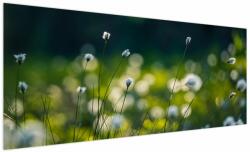 Mivali Tablou - Iarbă, dintr-o bucată 250x125 cm (V024003V250125)