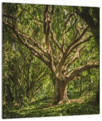 Mivali Tablou cu copaci, dintr-o bucată 30x30 cm (V021216V3030)