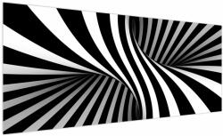 Mivali Tablou abstract cu dungi de zebră, dintr-o bucată 250x125 cm (V021960V250125)