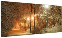 Mivali Tablou - Parcul înzăpezit, dintr-o bucată 100x40 cm (V023261V10040)