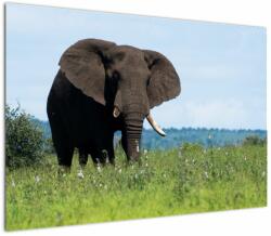 Mivali Tablou cu elefant, dintr-o bucată 100x70 cm (V021182V10070)