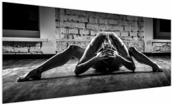 Mivali Tablou - Nud artistic al unei femei, dintr-o bucată 250x125 cm (V023495V250125)