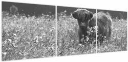 Mivali Tablou - Vacă scoțiană 5, alb-negru, din trei bucăți 150x50 cm (V024132V15050)