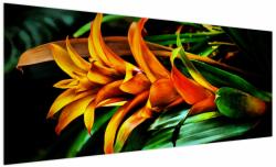 Mivali Tablou buchetului portocaliu, dintr-o bucată 250x125 cm (V021352V250125)