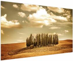 Mivali Tablou cu luncă, dintr-o bucată 150x100 cm (V021929V150100)