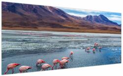 Mivali Tablou - Flamingo, dintr-o bucată 200x100 cm (V023797V200100)