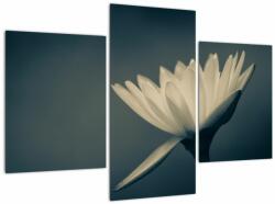 Mivali Tablou cu flori, din trei bucăți 90x60 cm (V021223V90603PCS)