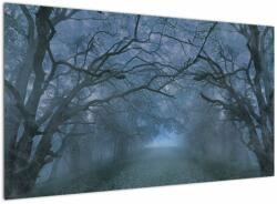 Mivali Tablou - Pădurea în ceață, dintr-o bucată 120x70 cm (V022986V12070)