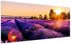 Mivali Tablou cu câmp de lavanda, dintr-o bucată 200x100 cm (V020540V200100)